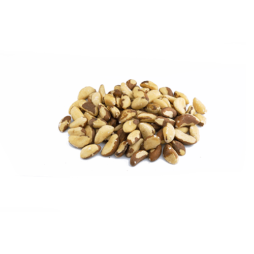 Paranüsse medium aus Bolivien (1x20kg)